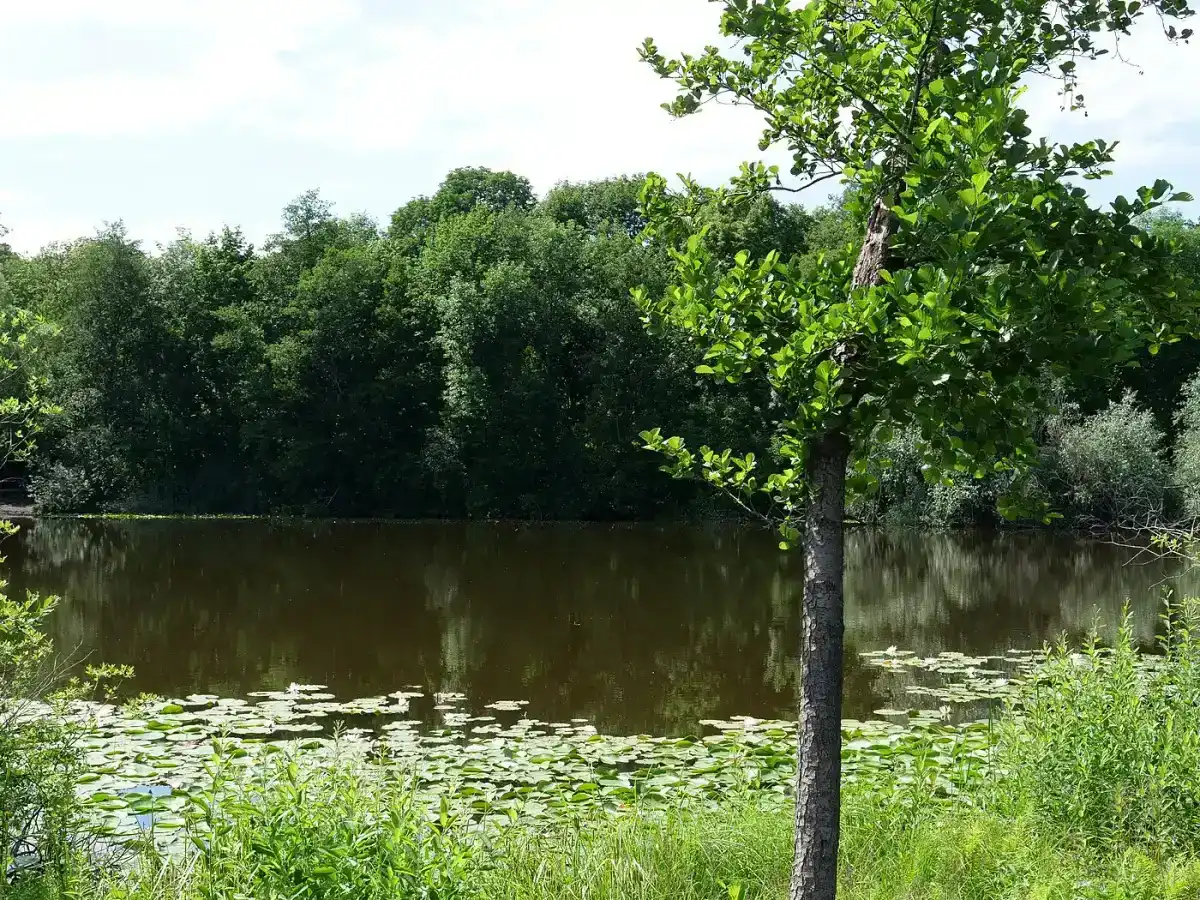 Teufelssee bei Müggelheim
